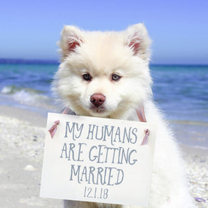 My Humans Are Getting Married | Creative Engagement Announcement Signs for Dogs
