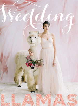 Llove Is In The Air... Furry Wedding Guests (a.k.a. The Wedding Llamas)
