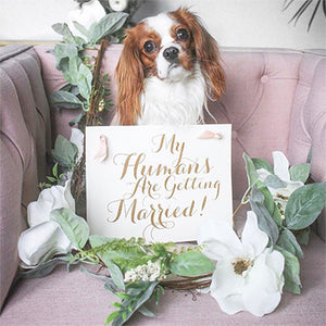 Dog Wedding Signs