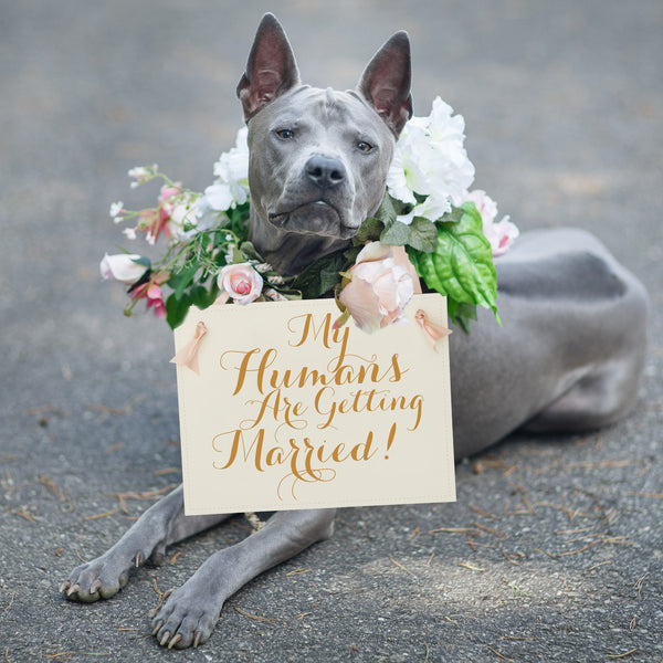 My Humans Are Getting Married Dog Wedding Sign Engagement