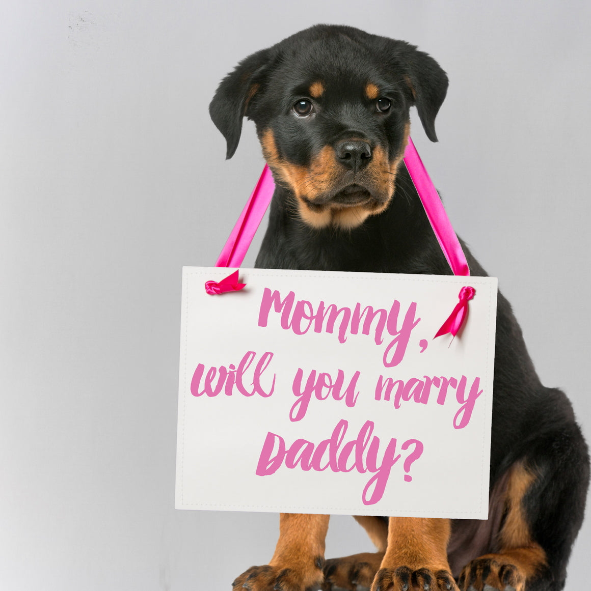 Mommy Will You Marry Daddy Sign