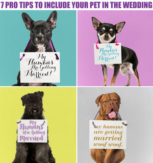 Get The Trend: 7 Ideas To Include Your Pet In The Wedding