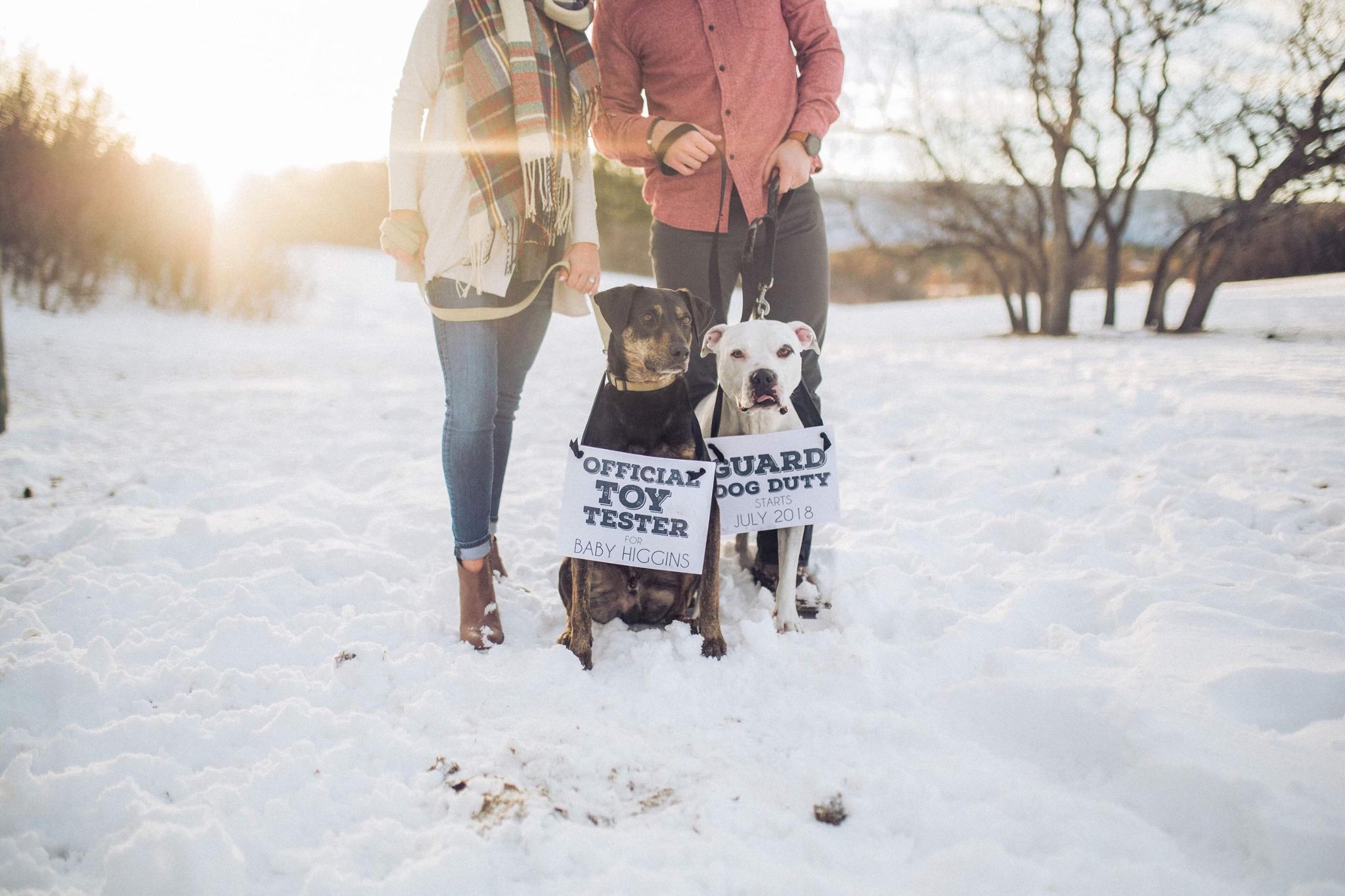 Perfect Pregnancy Announcement (Dogs Not Included)