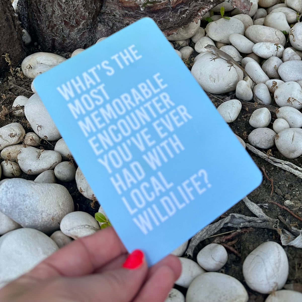 Family Vacation Conversation Starter Cards, Deck of 16