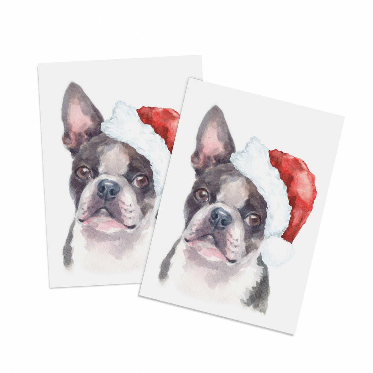 Boston Terrier holiday card set of 24, one watercolor portrait design, dog in red party hat.