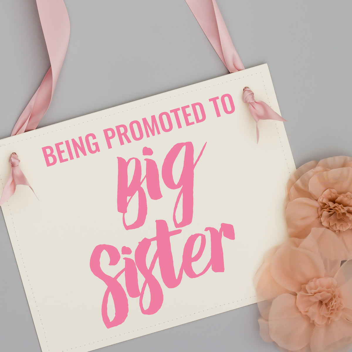 Big Sister Promotion Sign