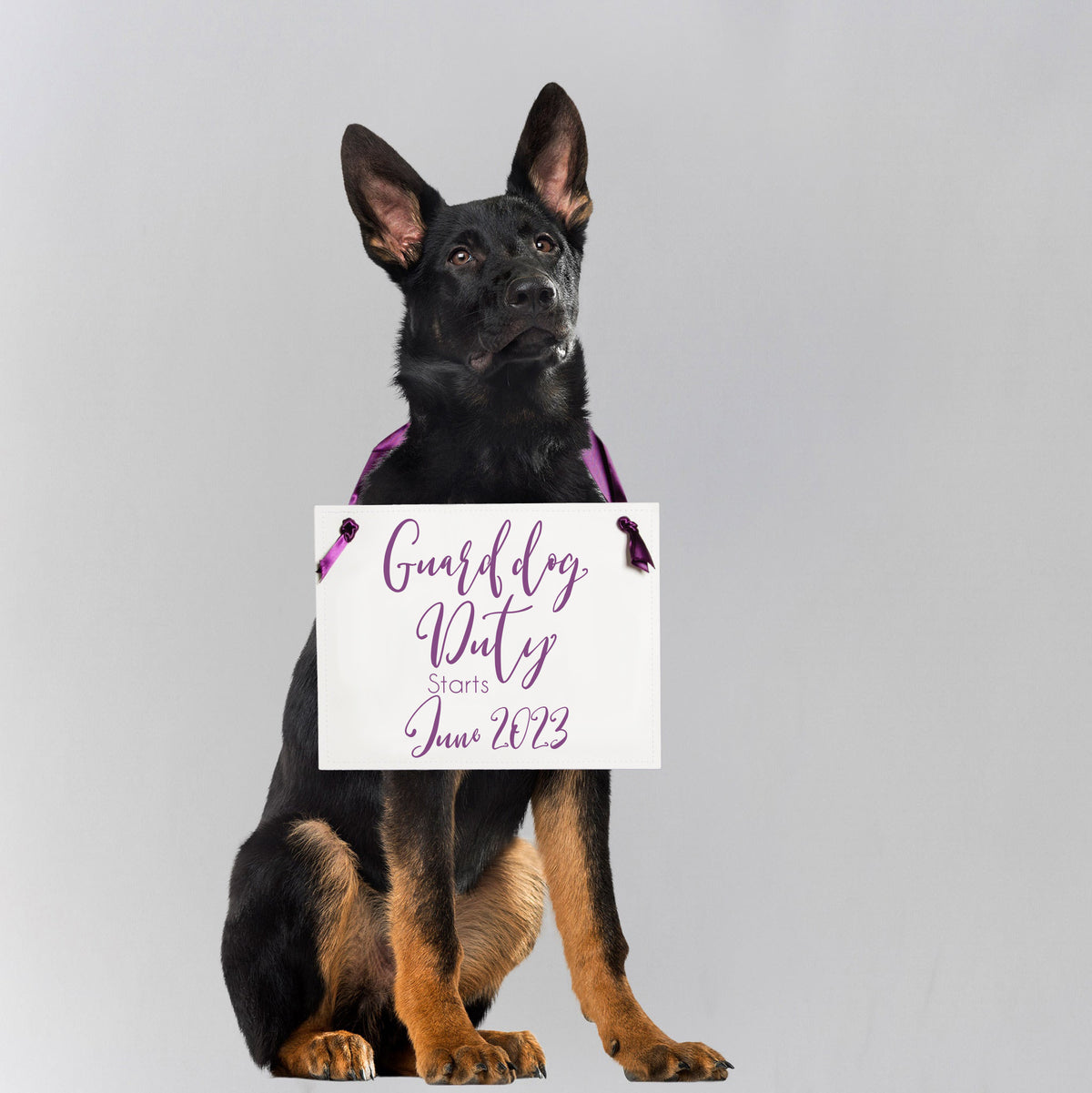 Guard Dog Duty Starts Sign