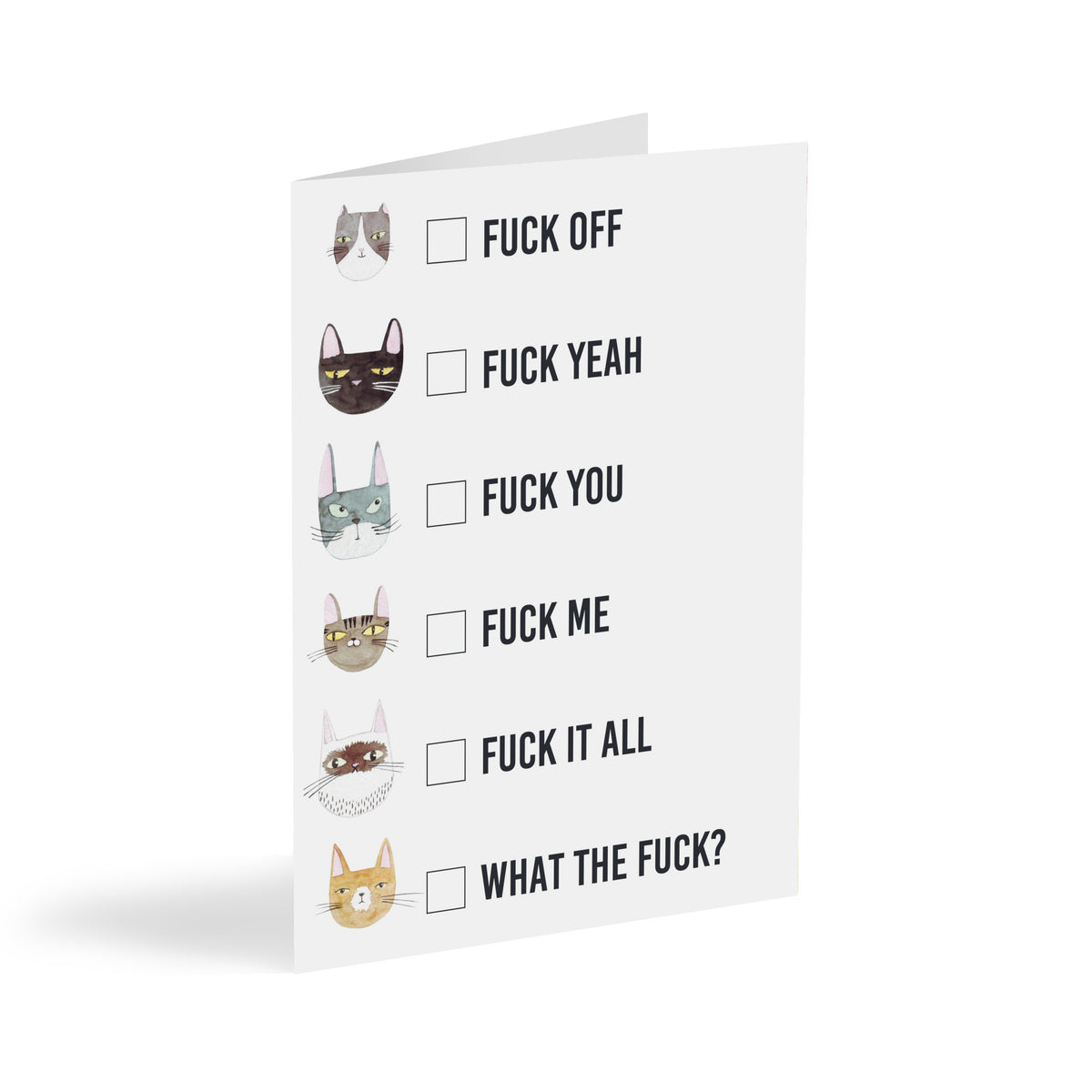Boxed set of 24 cards featuring a watercolor cat checklist design with six "FUCK" phrases in bold all-caps.