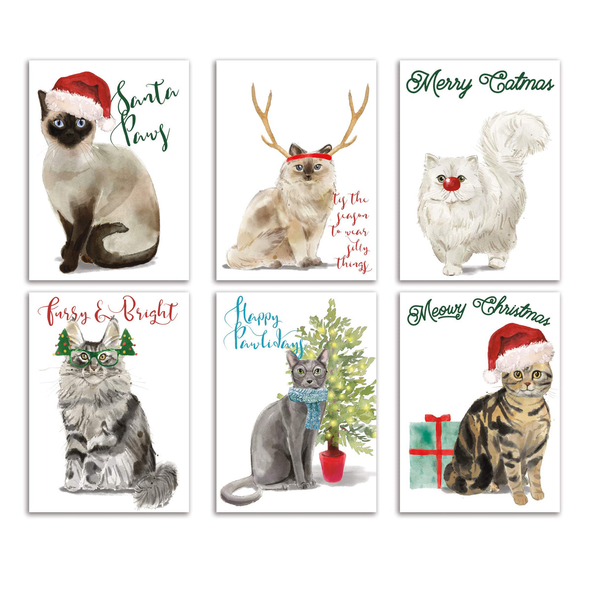 Meowy Christmas Greeting Cards, Set of 24