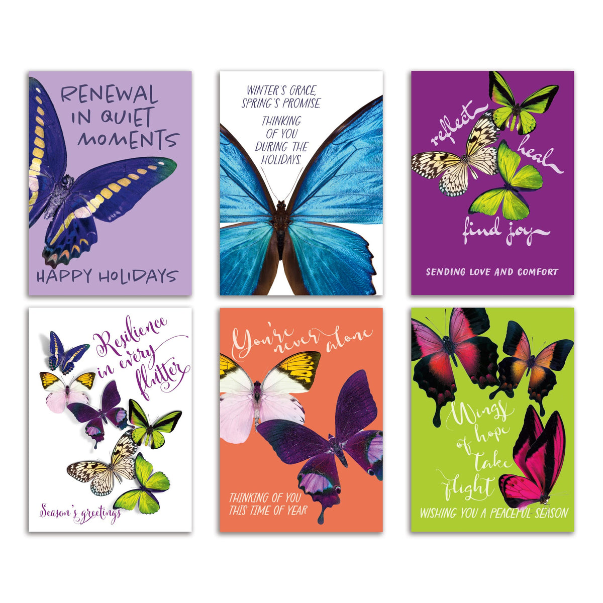 Butterfly Holiday Greeting Cards, Set of 24