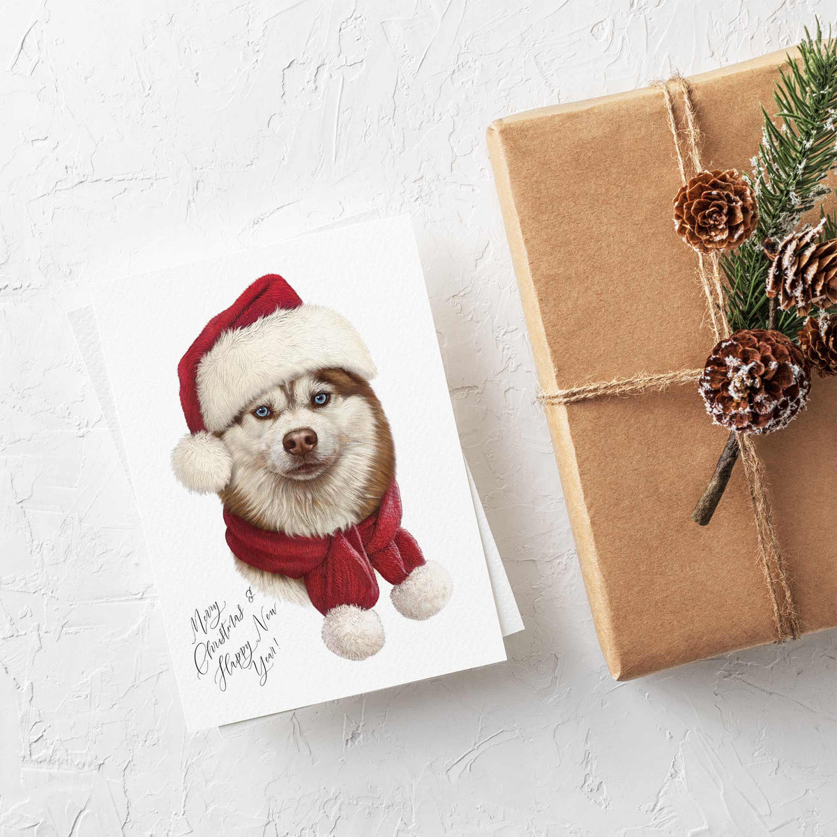 Husky Dog Merry Christmas Cards, Set of 24