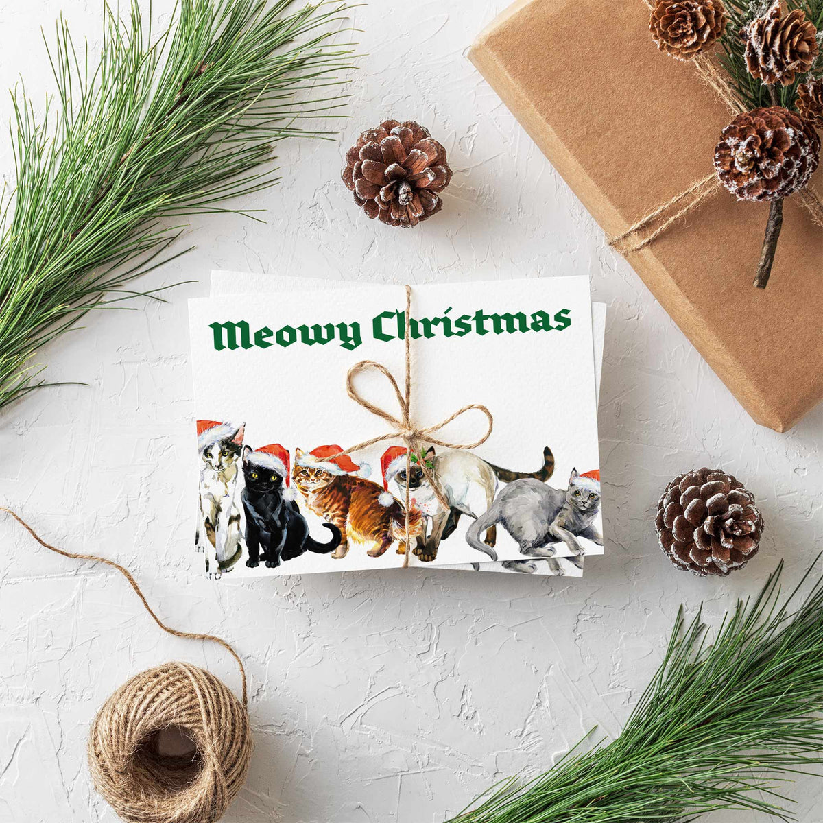 Meowy Cat Christmas Greeting Cards, Set of 24