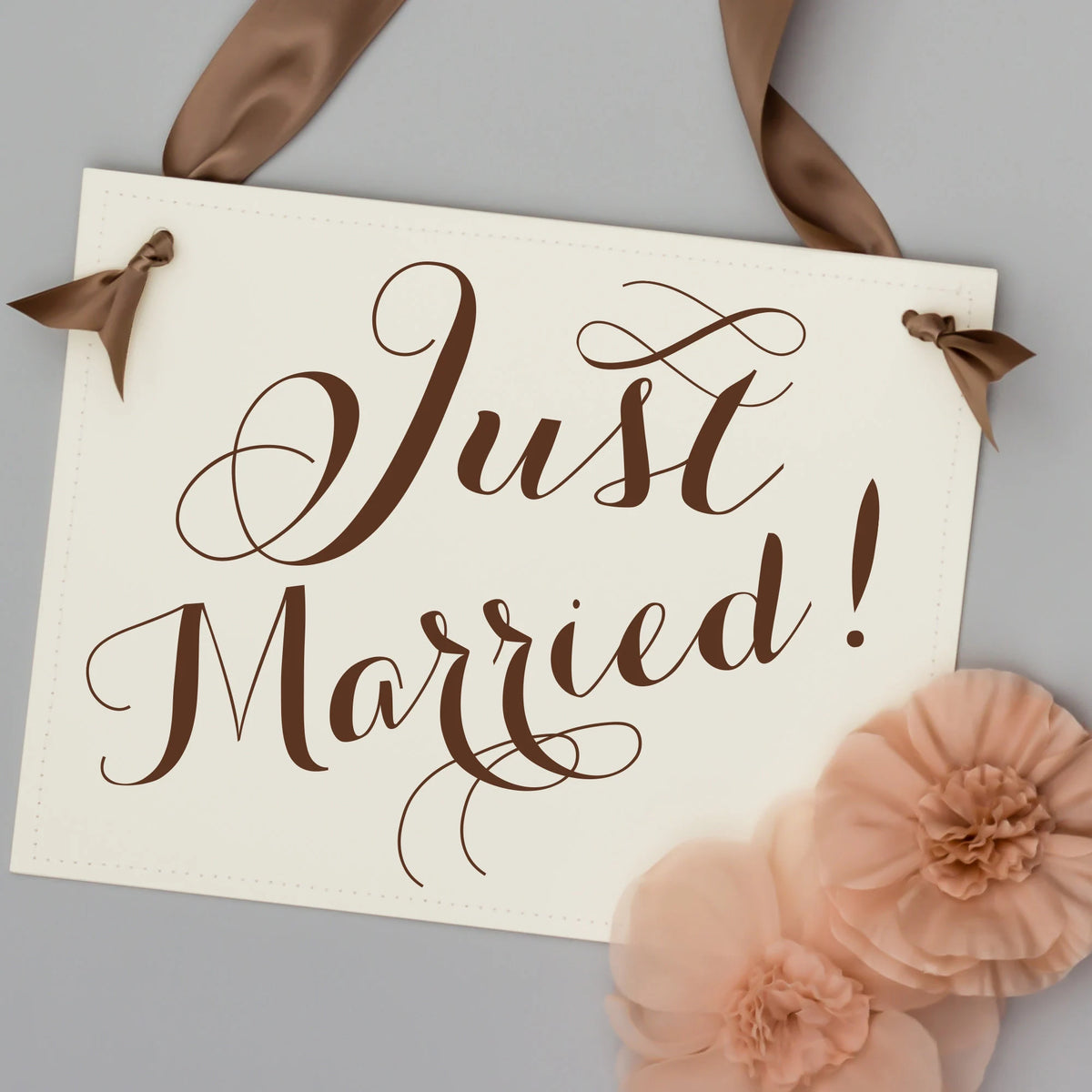Just Married Wedding Banner