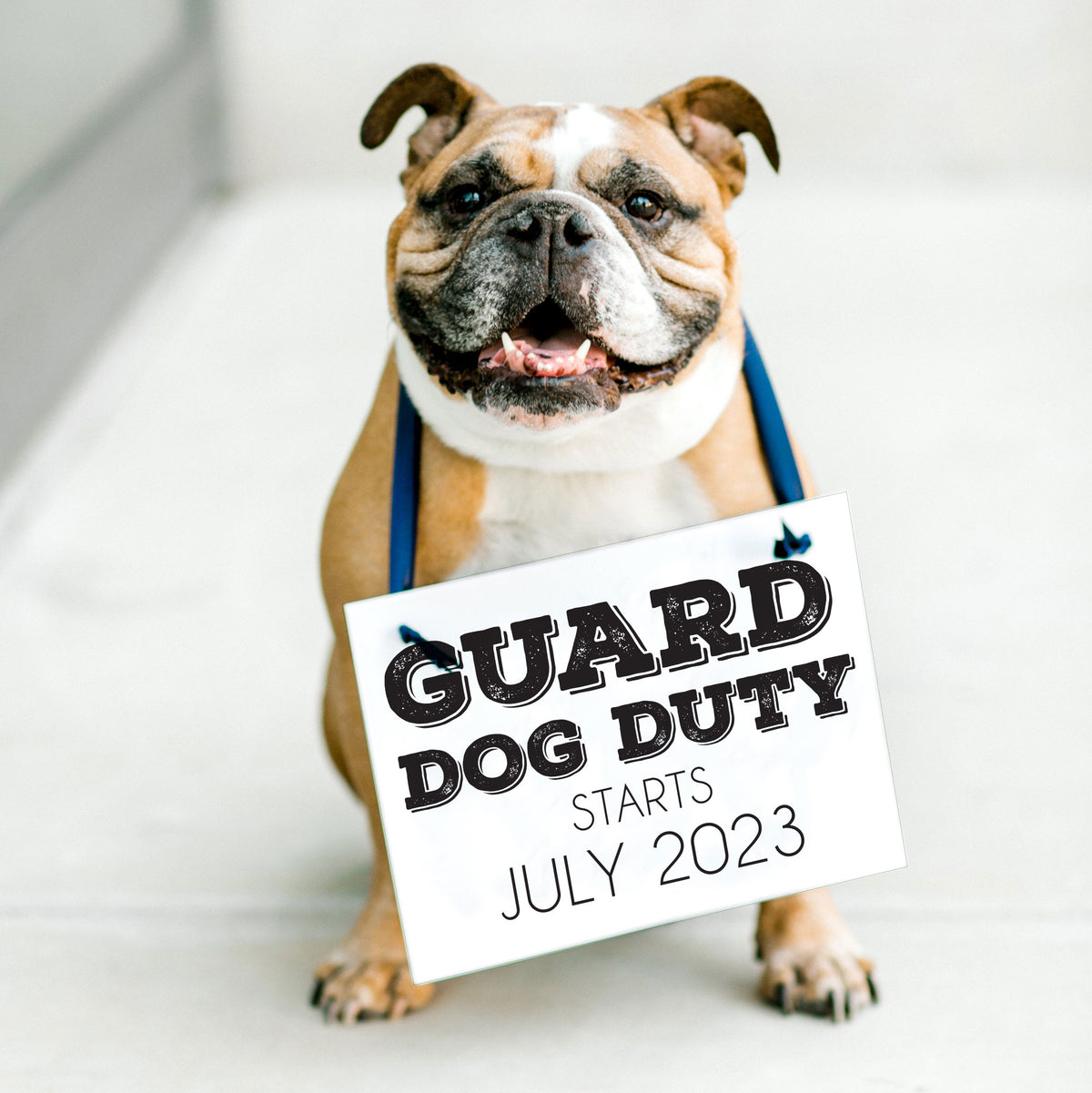 Dog Pregnancy Announcement Signs, Set of 2