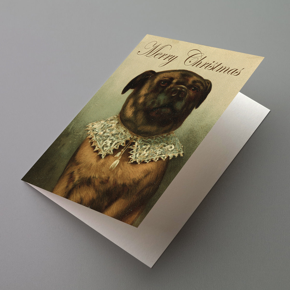 Chest-up portrait of a brindle pug in a lace vandyke collar, cream-to-olive background, "Merry Christmas" in formal script.