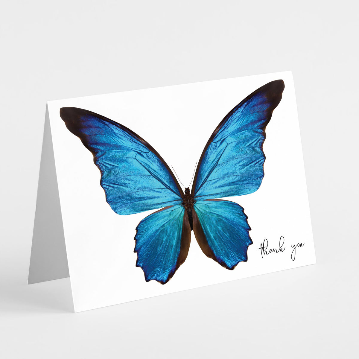 Card set featuring a centered blue morpho butterfly with iridescent wings and lowercase "thank you" in black script.