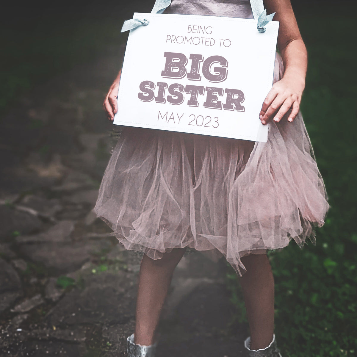 Big Sister Promotion Sign