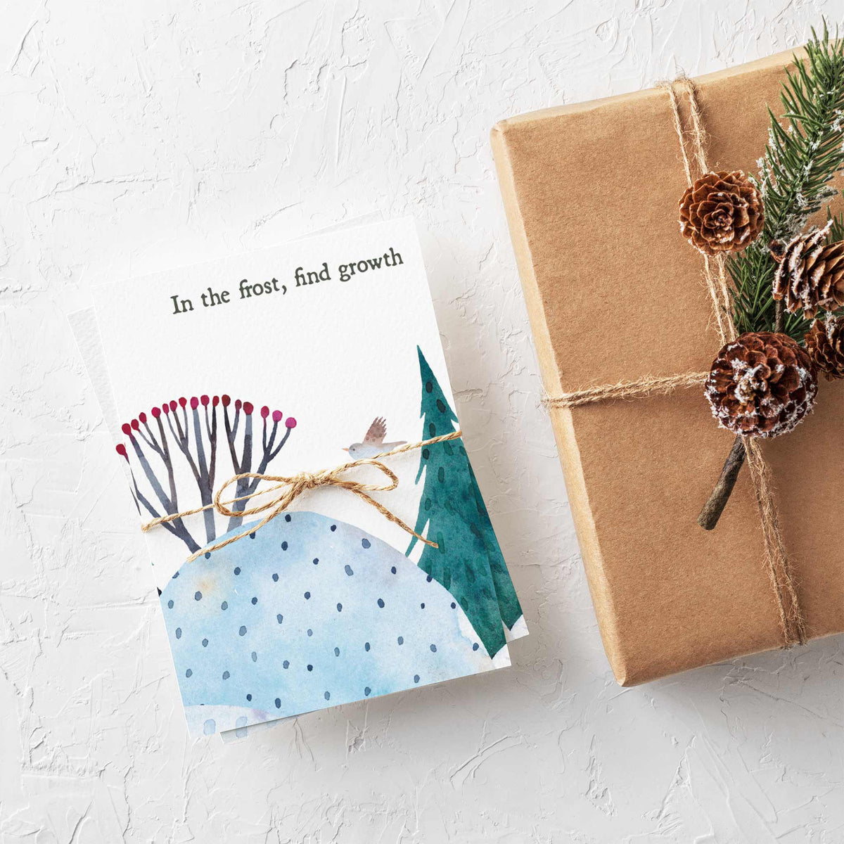 Peaceful Winter Greeting Cards, Set of 24