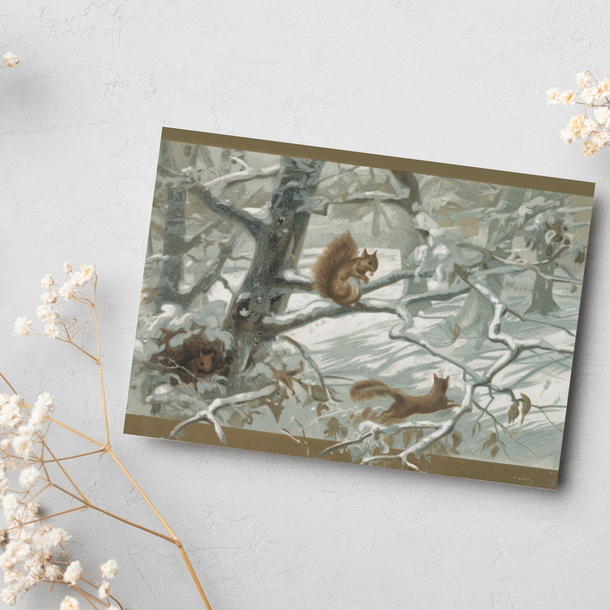 Set of 24 cards with red squirrel, owl, blue jay, and small bird designs in muted winter tones.