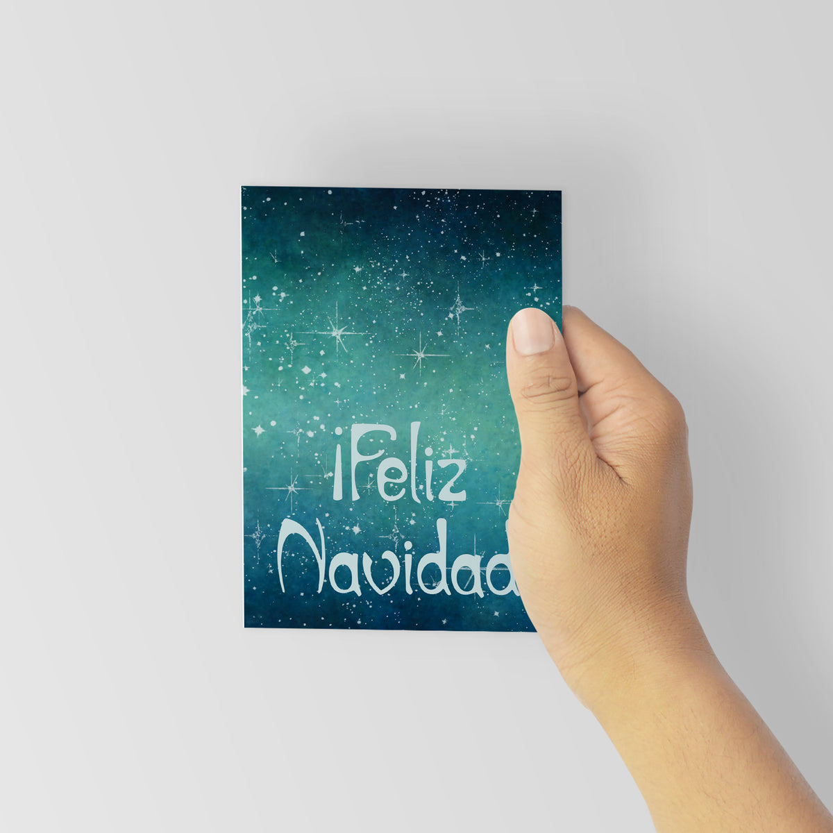 Merry Christmas & Feliz Navidad Greeting Cards, Set of 24