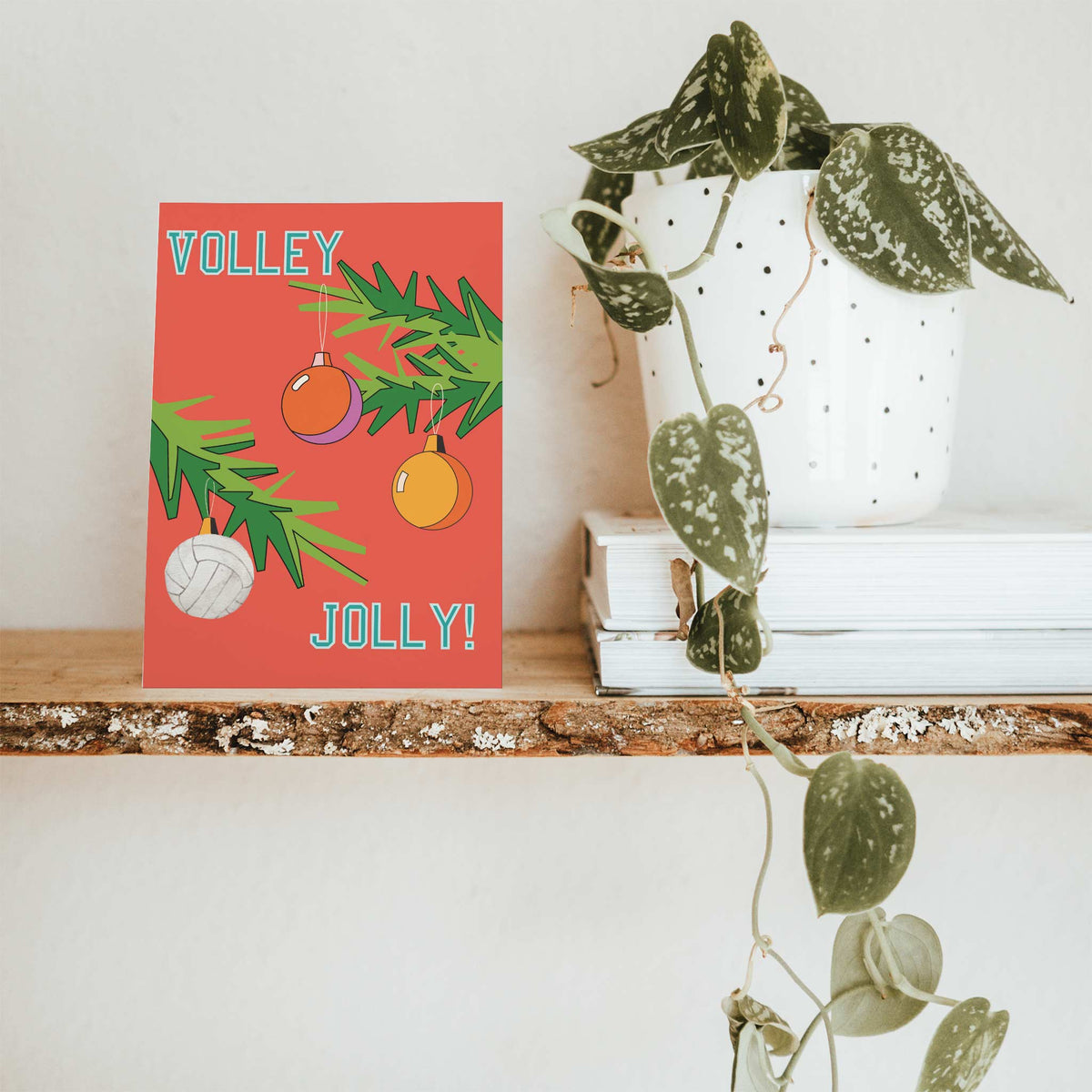 Volleyball Christmas Greeting Cards, Set of 24