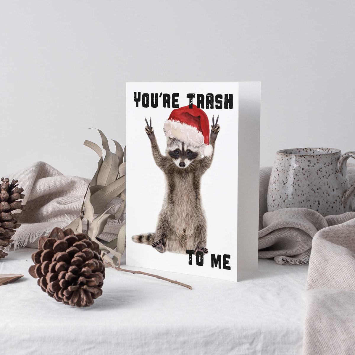 Funny Raccoon Christmas Cards, Set of 24