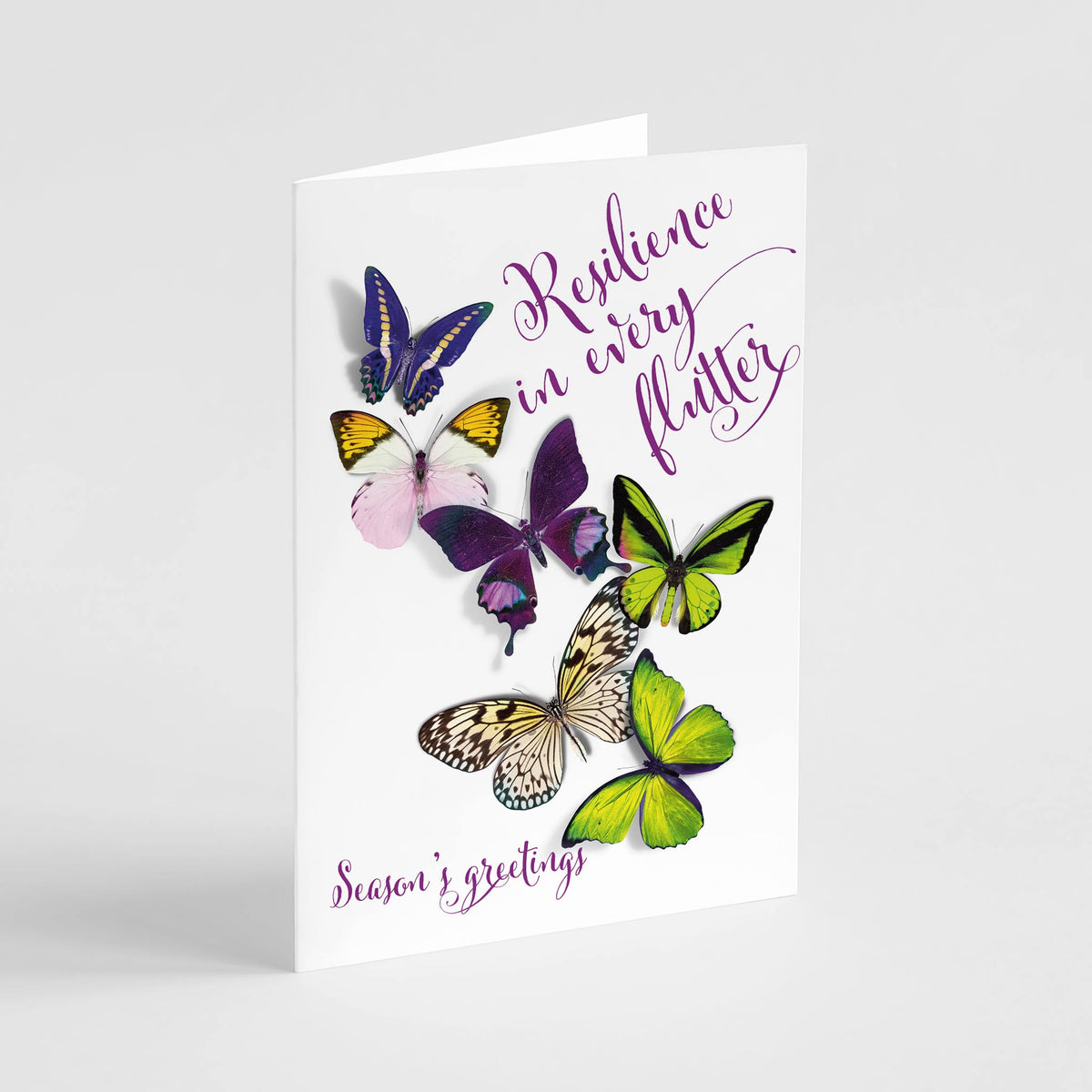 Butterfly Holiday Greeting Cards, Set of 24