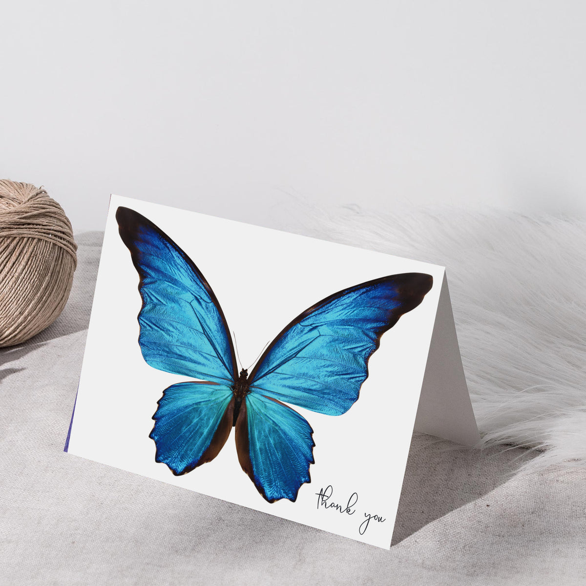 Boxed set of 24 identical cards showing a spread-wing blue morpho butterfly and thin script "thank you" in the lower right.