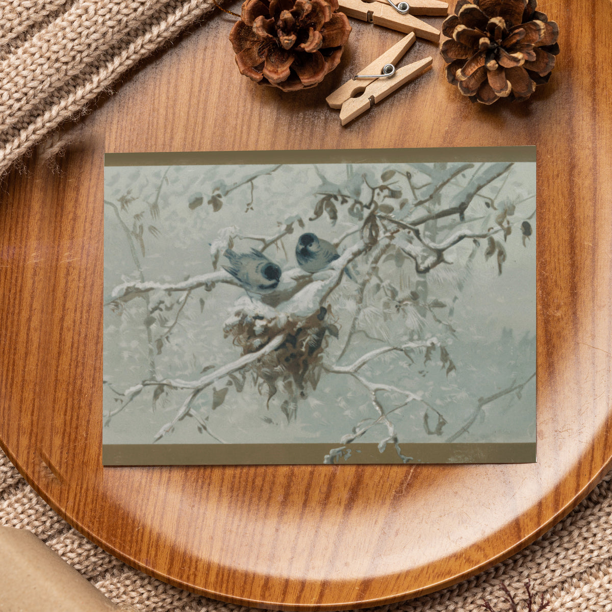 Four illustrated wildlife card designs, six cards each, with olive-brown edge bands and snowy scenes.