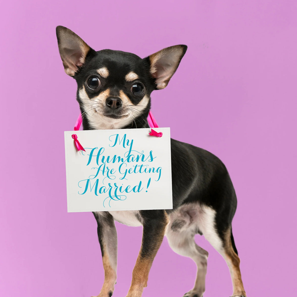My Humans Are Getting Married Dog Wedding Sign