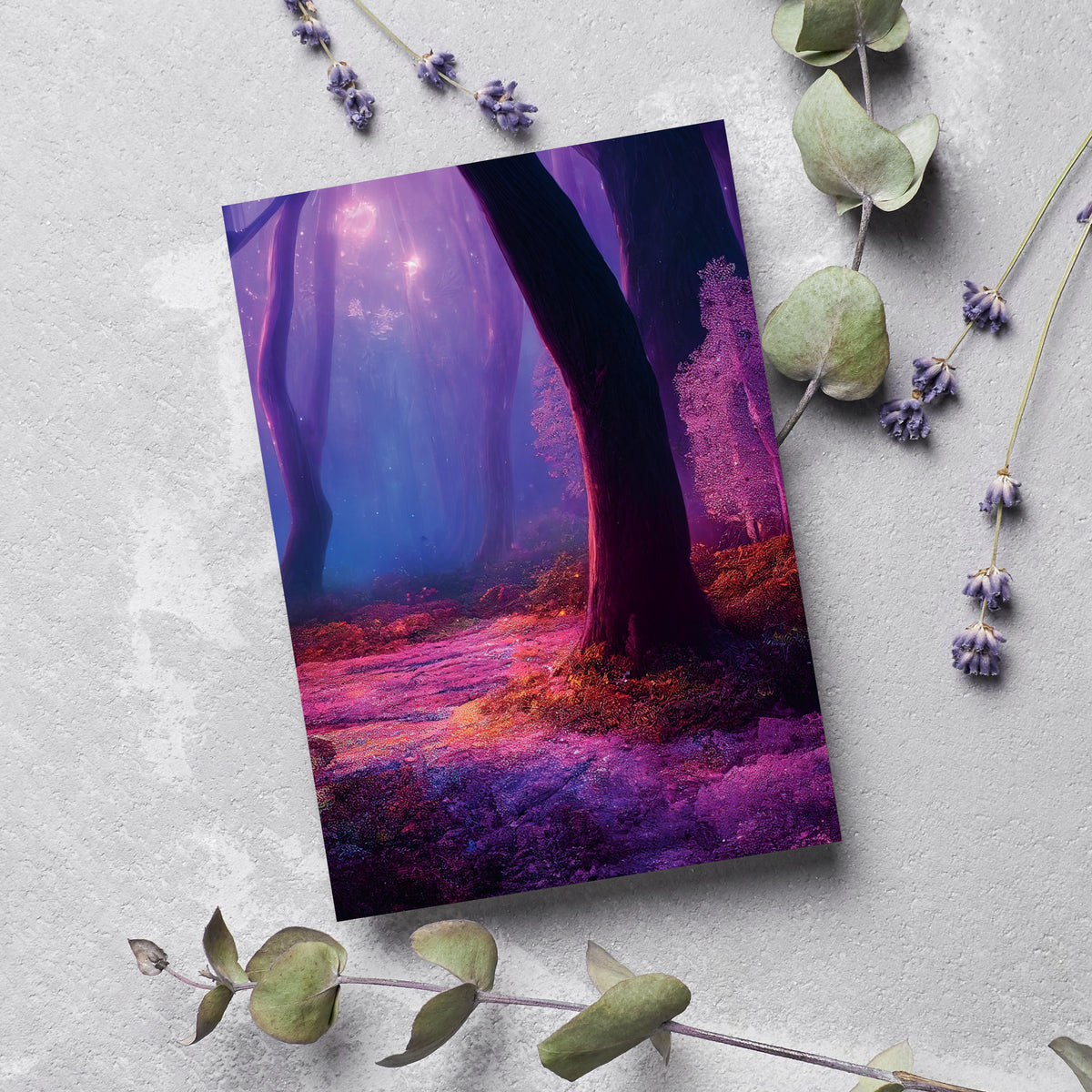 Set of 24 cards with six full-bleed forest scenes, each lit by a distinct internal light source.