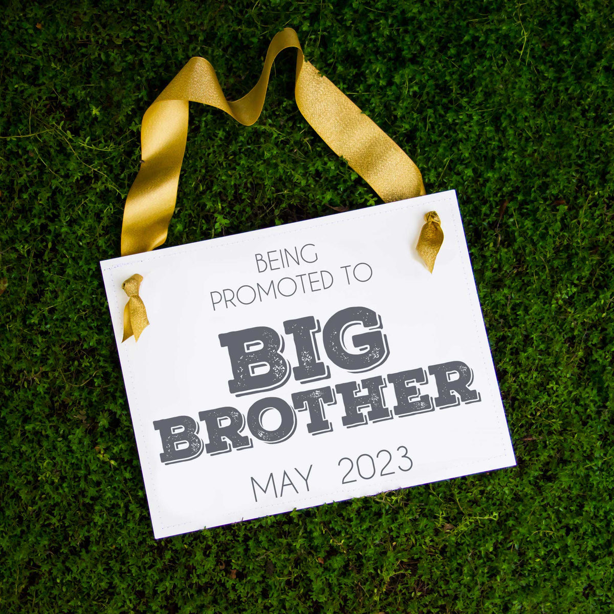 Big Brother Promotion Sign