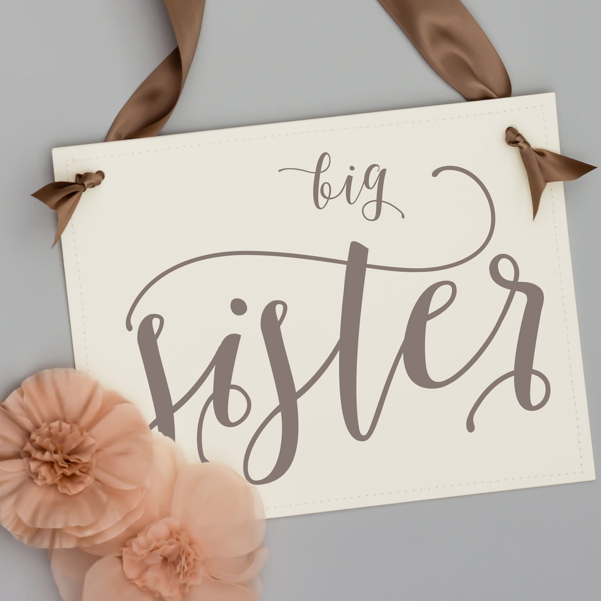 Big Sister Banner