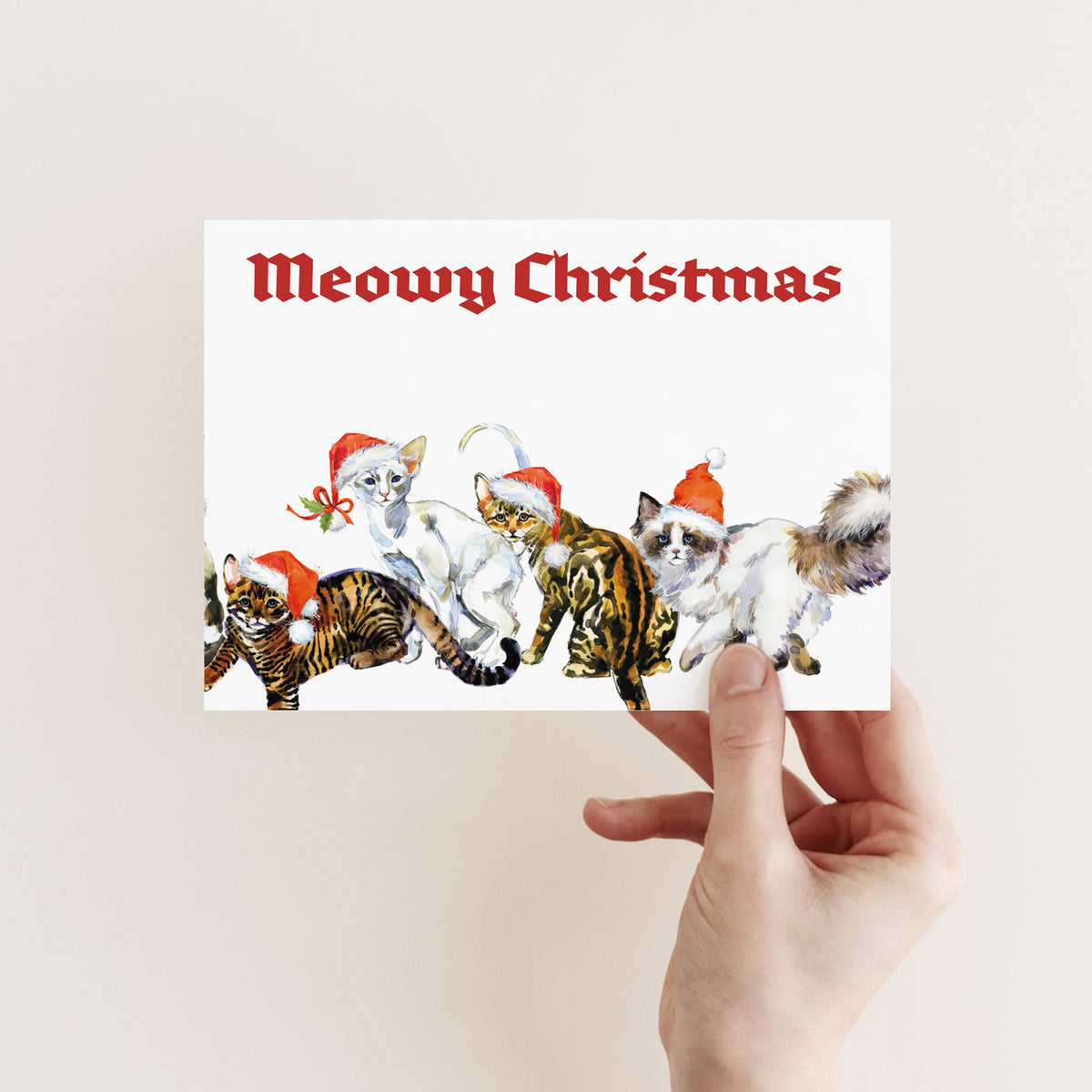 Meowy Cat Christmas Greeting Cards, Set of 24