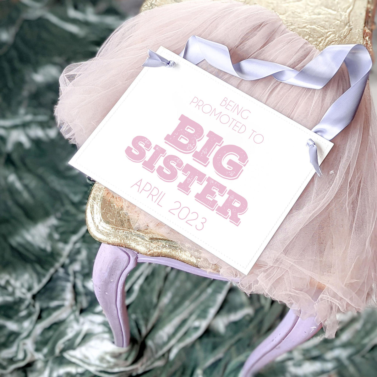 Big Sister Promotion Sign