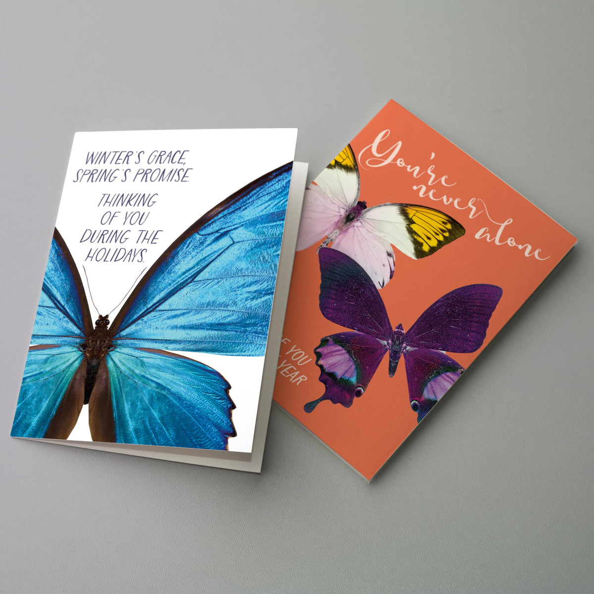 Butterfly Holiday Greeting Cards, Set of 24