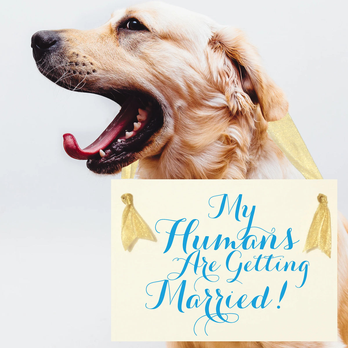 My Humans Are Getting Married Dog Wedding Sign