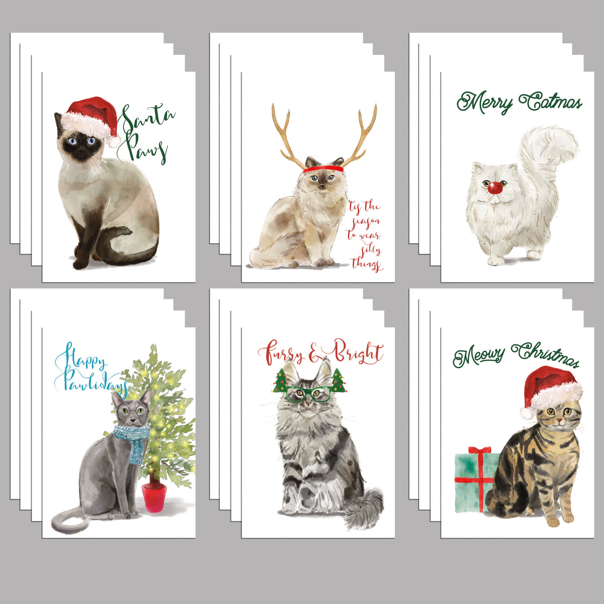Meowy Christmas Greeting Cards, Set of 24
