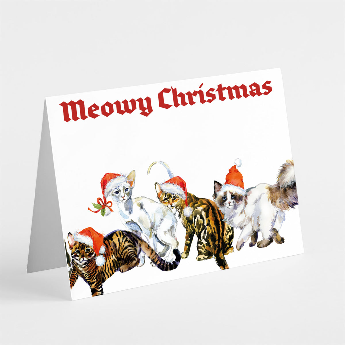Meowy Cat Christmas Greeting Cards, Set of 24