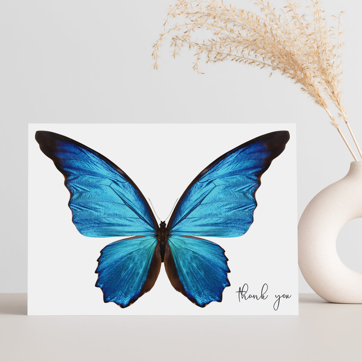 Single-design card set with a photorealistic-style morpho butterfly, fine wing venation detail, and black script lettering.