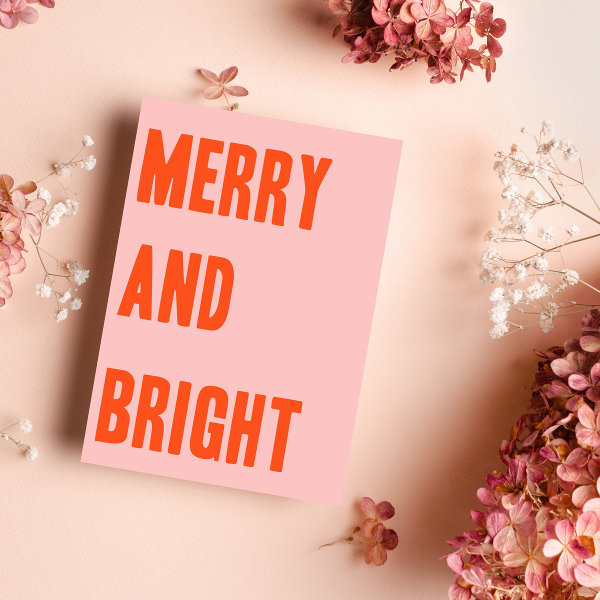 Boxed set of 12 flat-graphic holiday card designs, two per design, ranging from Happy Hanukkah to Merry Fucking Christmas.