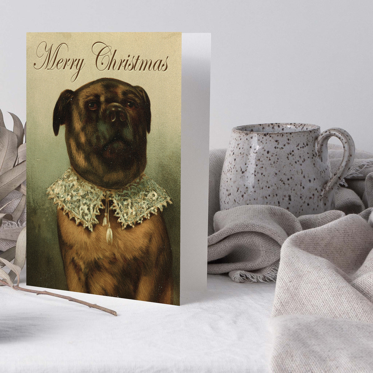 Card Christmas set, single design: brindle pug with folded ears and wrinkled brow wearing a gray-green lace collar.