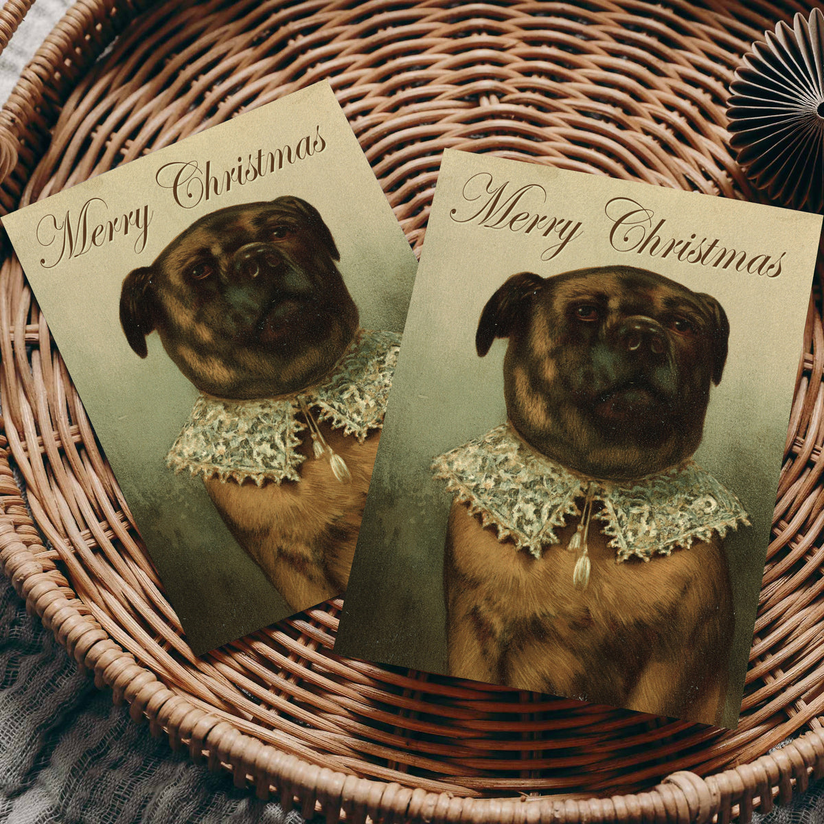 Portrait-orientation card with a brindle pug centered in the lower two-thirds, lace collar at throat, cream and olive palette