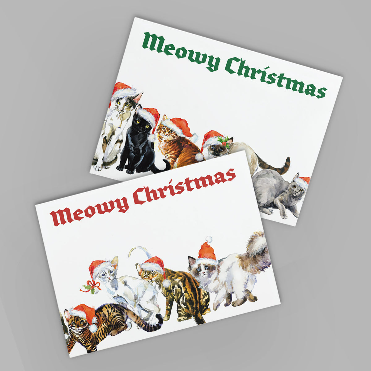 Meowy Cat Christmas Greeting Cards, Set of 24