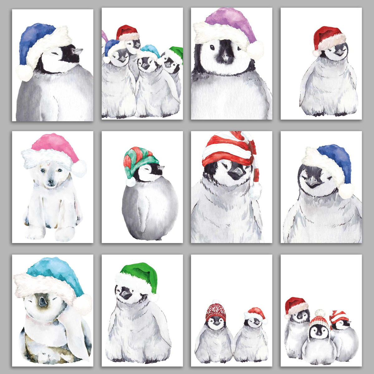 Baby Animal Holiday Greeting Cards, Set of 24