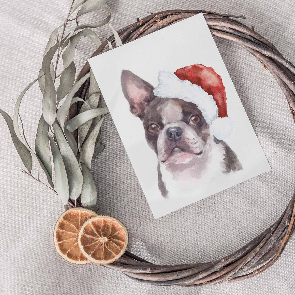 Holiday card set of 24 with one design: watercolor short-muzzled dog in a red and white cone hat.