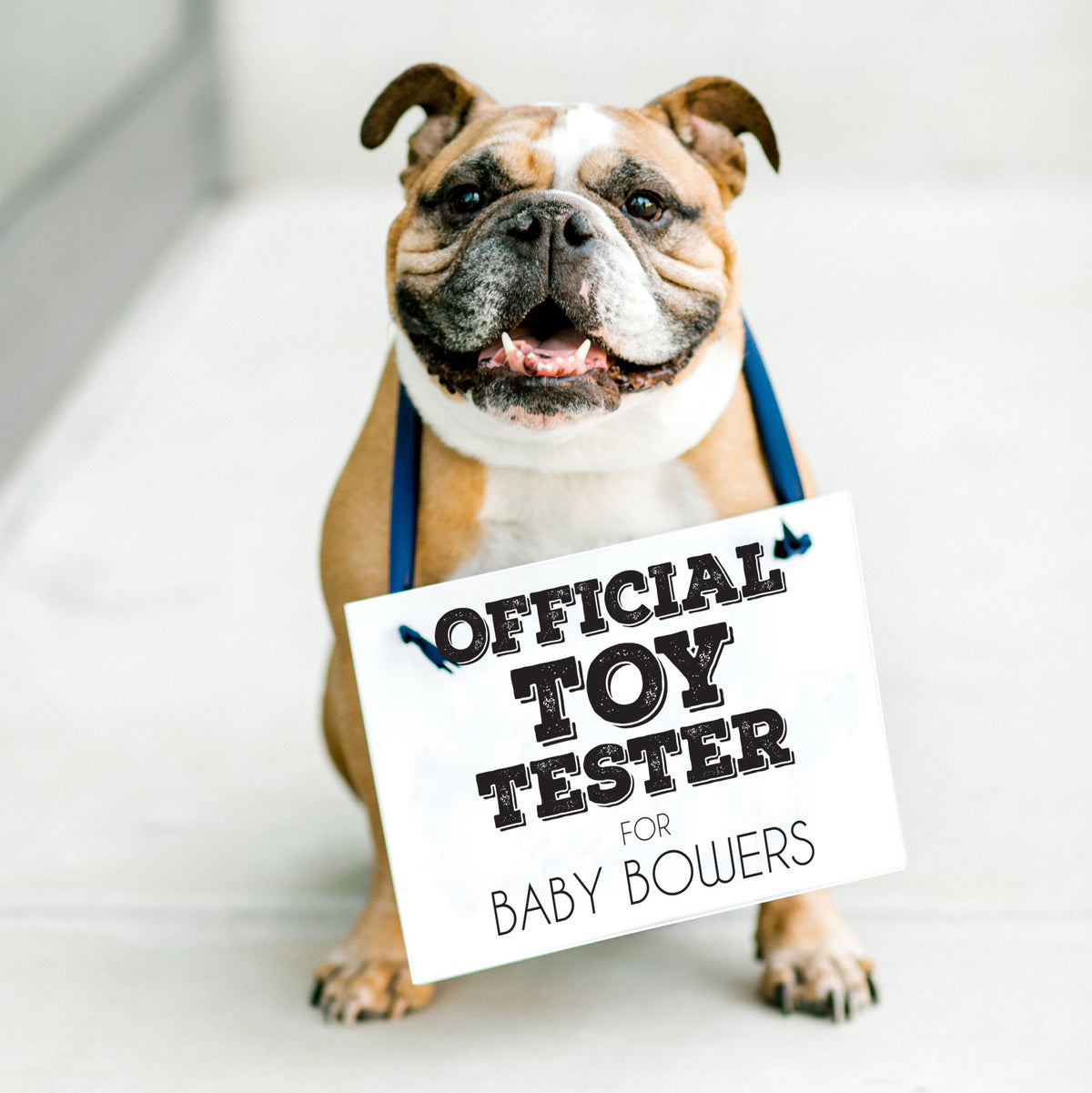 Dog Pregnancy Announcement Signs, Set of 2