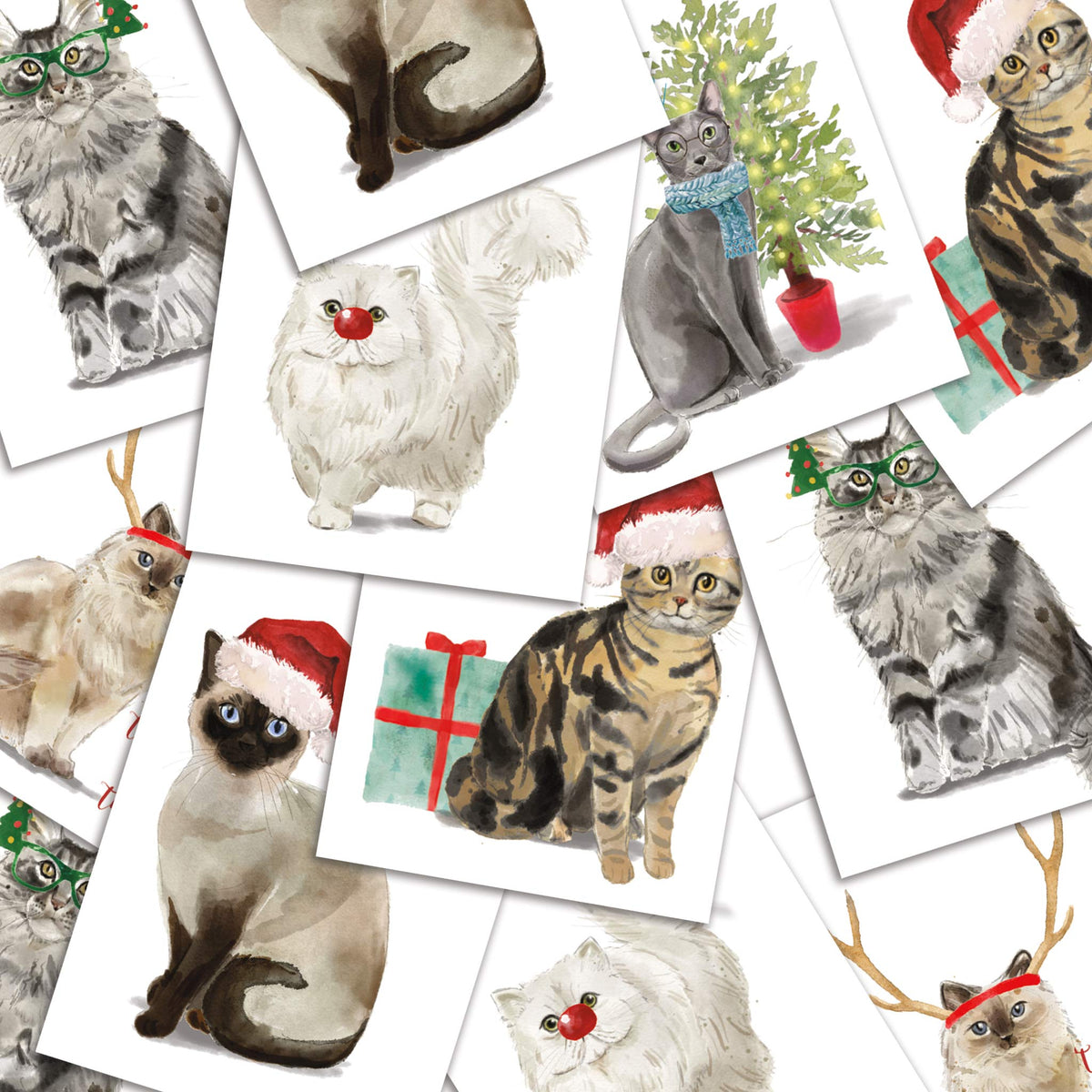 Meowy Christmas Greeting Cards, Set of 24
