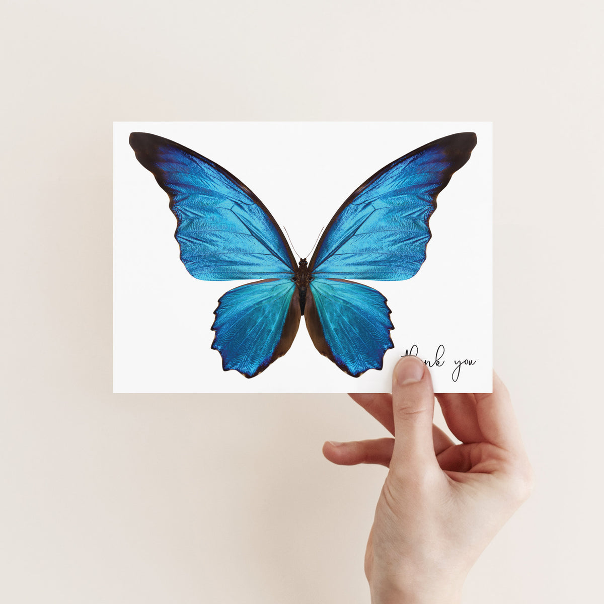 White thank you cards with a full-bleed blue butterfly illustration and lowercase script text in the corner.