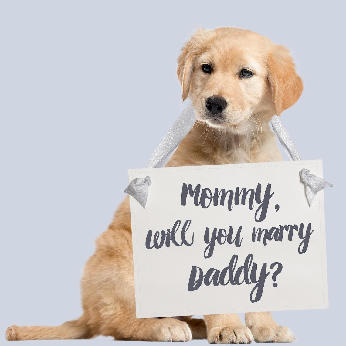 Mommy Will You Marry Daddy? Proposal Banner
